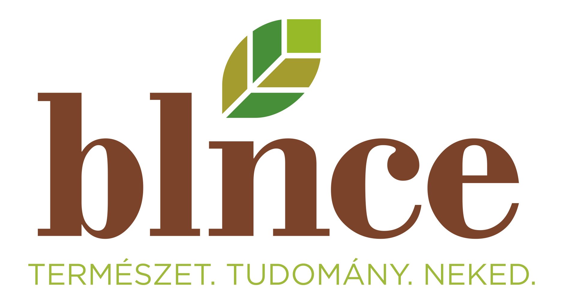blnsz Beauty Kiállítás